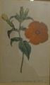 Lot 31 Image