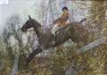 Lot 11 Image