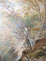 Lot 12 Image