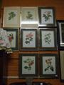Lot 135 Image