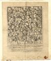 Lot 481 Image