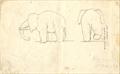 Lot 483 Image