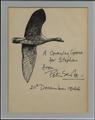 Lot 486 Image