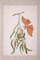 Lot 23 Image