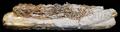 Lot 3030 Image