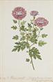 Lot 35 Image