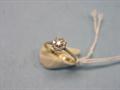 Lot 507 Image