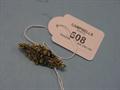 Lot 508 Image