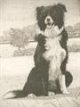 Lot 1274 Image