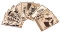 Lot 213 Image