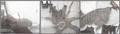 Lot 1333 Image