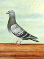 Lot 636 Image