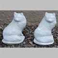 Lot 22 Image
