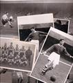 Lot 29 Image