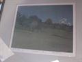 Lot 242 Image