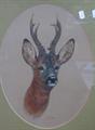 Lot 20 Image