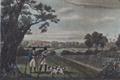 Lot 7 Image