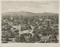 Lot 35 Image