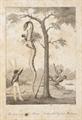 Lot 41 Image