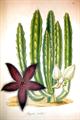 Lot 22 Image