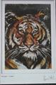 Lot 691 Image