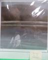 Lot 697 Image