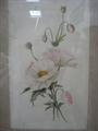 Lot 735 Image