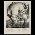 Lot 25 Image
