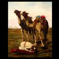 Lot 7 Image