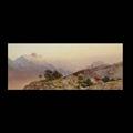 Lot 25 Image