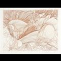 Lot 35 Image