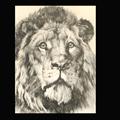 Lot 40 Image