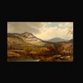 Lot 6 Image