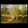 Lot 11 Image