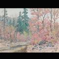 Lot 14 Image