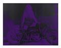 Lot 21 Image