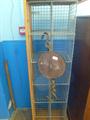 Lot 450 Image