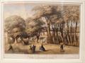 Lot 11 Image