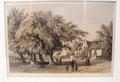 Lot 4 Image