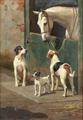 Lot 300 Image