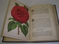 Lot 347 Image