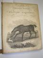 Lot 421 Image