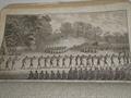 Lot 484 Image