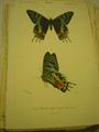 Lot 490 Image