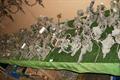 Lot 1300 Image