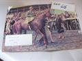 Lot 68 Image