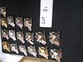 Lot 71 Image