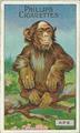 Lot 40 Image