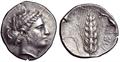Lot 17 Image