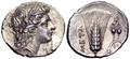 Lot 21 Image
